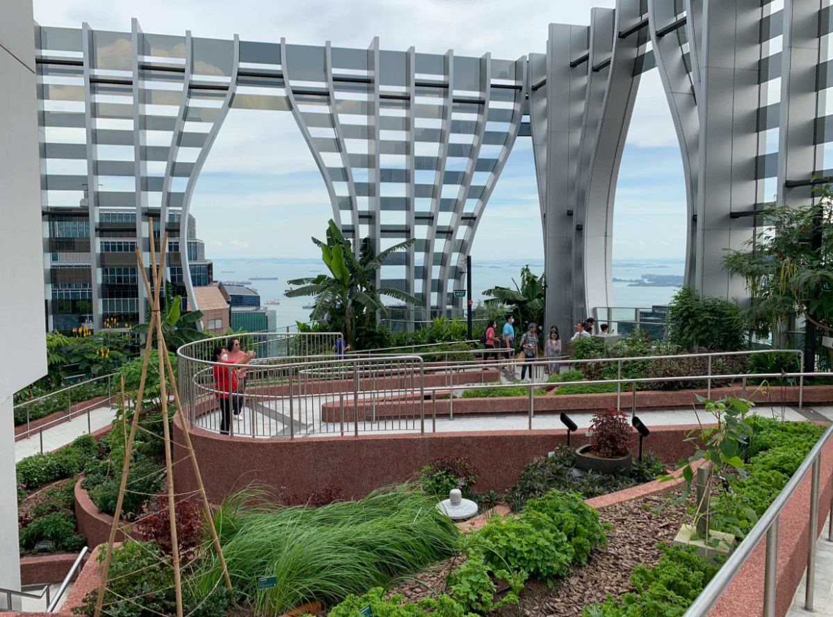 Image of rooftop garden L51 Urban Farm Group